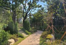 경기도, 471억 투입. 연천군 가로숲길 등 도시숲 181곳 조성