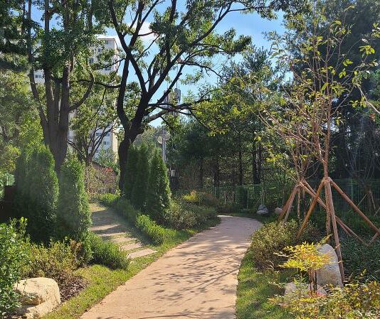 경기도, 471억 투입. 연천군 가로숲길 등 도시숲 181곳 조성