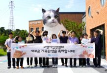 반려마루 화성 고양이 입양센터 개관 4개월 만에 유기묘 50마리 새로운 가족 만나