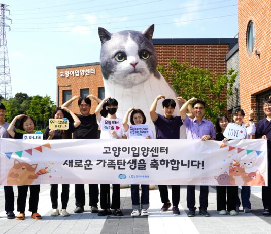 반려마루 화성 고양이 입양센터 개관 4개월 만에 유기묘 50마리 새로운 가족 만나