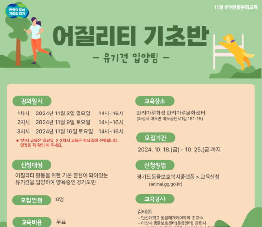반려마루 화성에서 댕댕이와 함께하는 스포츠 교육 신청하세요! 반려마루 화성에서 어질리티 교육, 유기견 입양자면 누구나 참여가능