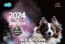 제1회 경기도지사배 ‘전국 반려견 스포츠대회’ 개최 유기견 입양부 신설, 쉬운 경기 해설