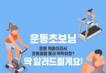 운동 초보라면? 필라테스·요가·유산소 중 무엇부터 시작할까?